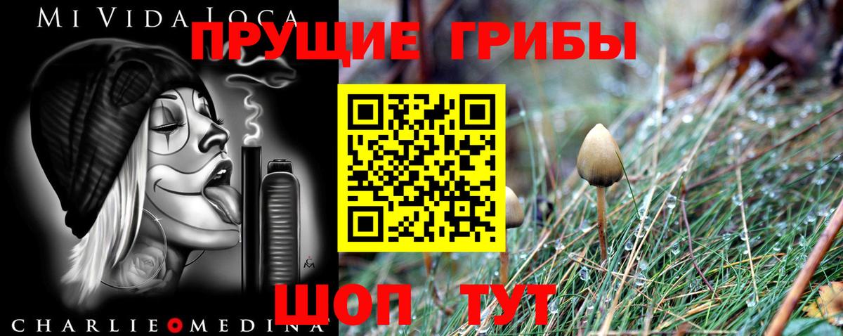 Галлюциногенные грибы прущие грибы  Вход с VPN  Красный Сулин  Псилоцибиновые грибы GOLDEN TEACHER 